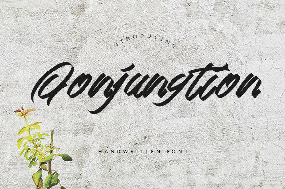 Qonjungtion: A Free-Flowing Script for Authentic Design